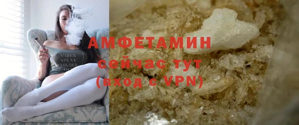 сатива Гусев