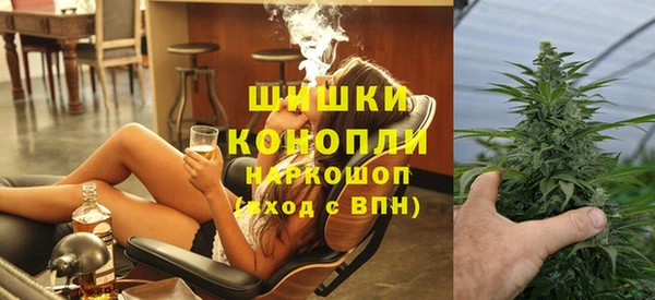 сатива Гусев