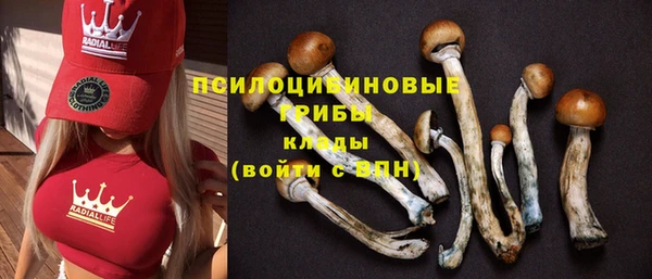 mix Дмитровск