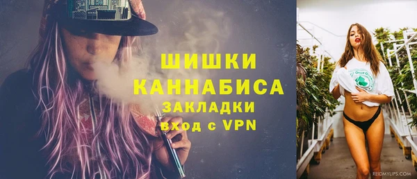 сатива Гусев